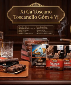Xì Gà Toscanello 3 Xi Ga Toscanello 2