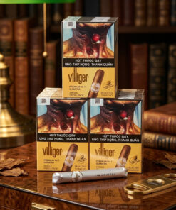 Xì Gà Villiger Premium No 1