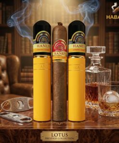 Xì Gà Hanos 52 1 Xi Ga Hanos 52 1