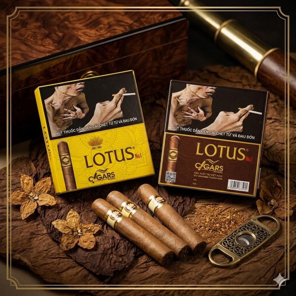 Xì Gà Lotus No 1