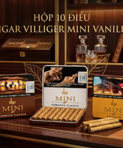 Xì Gà Villiger Mini 1 Xi Ga Villiger Mini 1