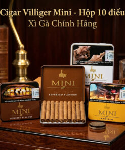 Xì Gà Villiger Mini 2 Xi Ga Villiger Mini 2