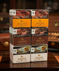 Xì Gà Villiger Mini
